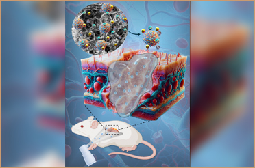 Sprayable Hydrogel by IIT Delhi Researchers for Improving Wound Healing Exhibits Promising Results in Pre-Clinical Trial