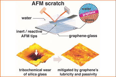 Atomically thin graphene coating effectively protects glasses from simultaneous mechanical and chemical damage under water: Study