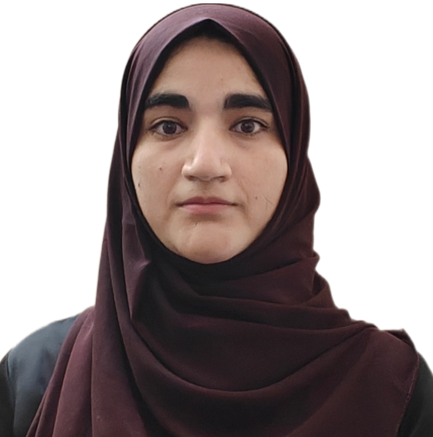 PhD Seminar: Hafsah Mushtaq
